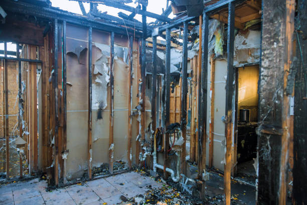 Professional Fire Damage Removal technician working in Prospect, OH